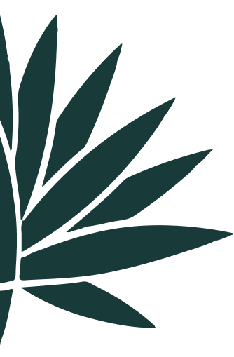 Tequila Matices - Hills